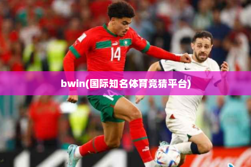 bwin(国际知名体育竞猜平台)