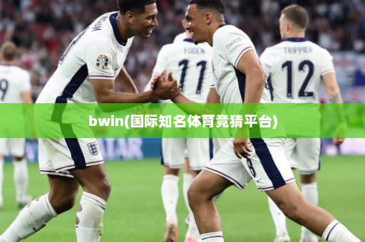 bwin(国际知名体育竞猜平台)