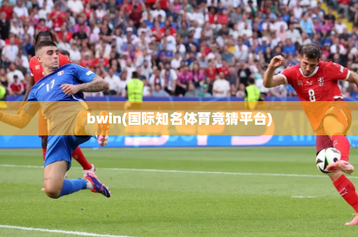 bwin(国际知名体育竞猜平台)