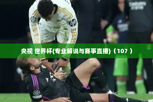 央视 世界杯(专业解说与赛事直播)(107 )