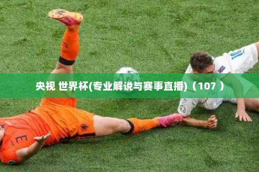 央视 世界杯(专业解说与赛事直播)(107 )