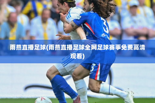 雨燕直播足球(雨燕直播足球全网足球赛事免费高清观看)