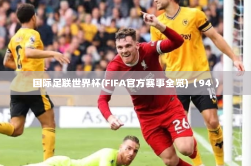 国际足联世界杯(FIFA官方赛事全览)(94 )