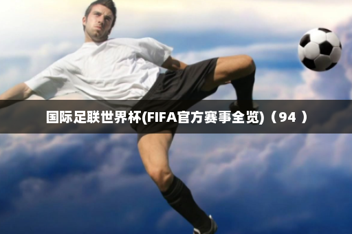 国际足联世界杯(FIFA官方赛事全览)(94 )