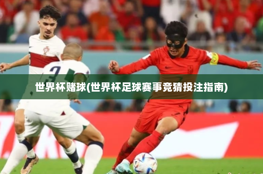 世界杯赌球(世界杯足球赛事竞猜投注指南)
