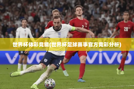 世界杯体彩竞猜(世界杯足球赛事官方竞彩分析)