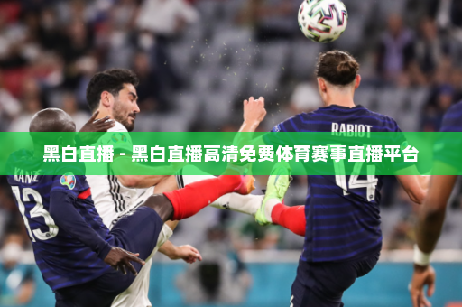 黑白直播 - 黑白直播高清免费体育赛事直播平台