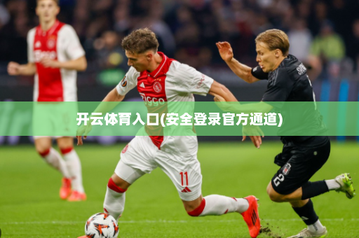 开云体育入口(安全登录官方通道)