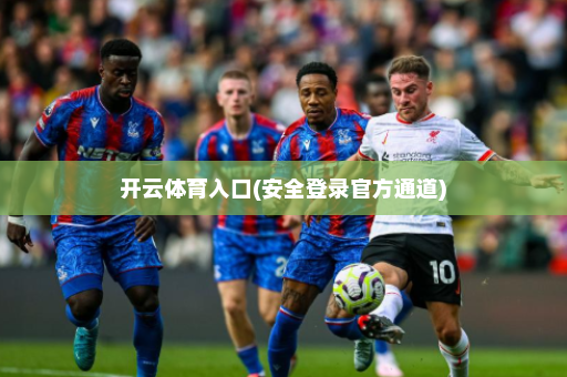 开云体育入口(安全登录官方通道)
