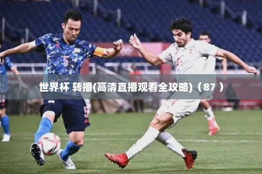世界杯 转播(高清直播观看全攻略)(87 )