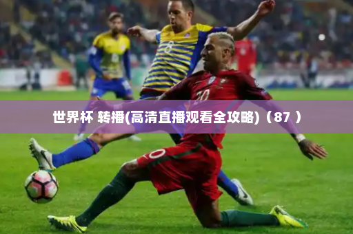 世界杯 转播(高清直播观看全攻略)(87 )