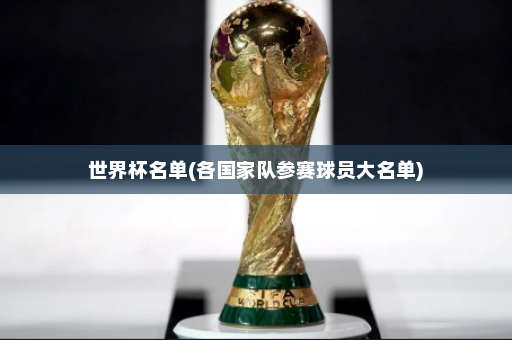 世界杯名单(各国家队参赛球员大名单)