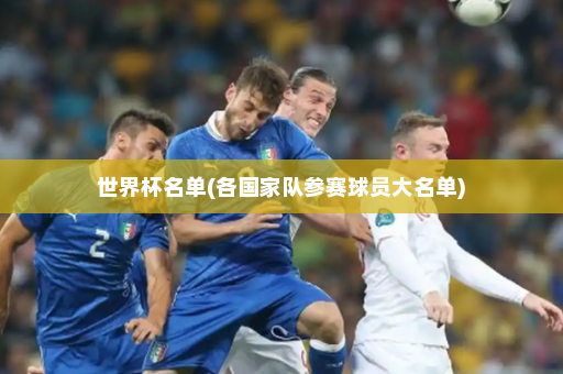 世界杯名单(各国家队参赛球员大名单)