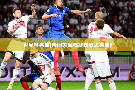世界杯名单(各国家队参赛球员大名单)