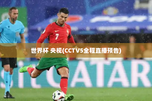 世界杯 央视(CCTV5全程直播预告)