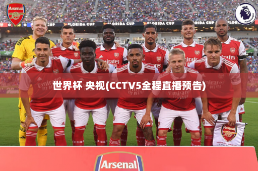 世界杯 央视(CCTV5全程直播预告)