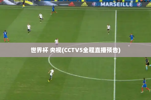 世界杯 央视(CCTV5全程直播预告)