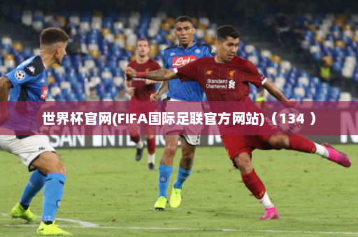 世界杯官网(FIFA国际足联官方网站)(134 )