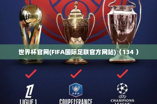世界杯官网(FIFA国际足联官方网站)(134 )