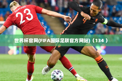 世界杯官网(FIFA国际足联官方网站)(134 )