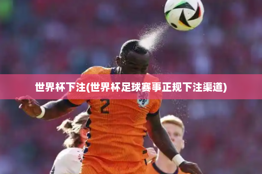 世界杯下注(世界杯足球赛事正规下注渠道)