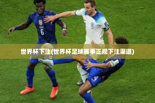世界杯下注(世界杯足球赛事正规下注渠道)