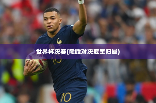 世界杯决赛(巅峰对决冠军归属)