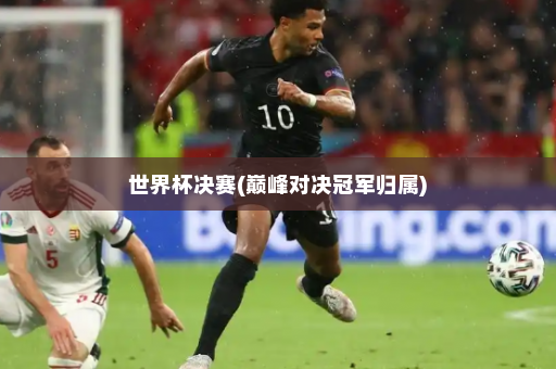 世界杯决赛(巅峰对决冠军归属)