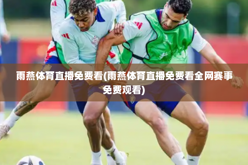 雨燕体育直播免费看(雨燕体育直播免费看全网赛事免费观看)