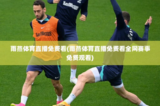 雨燕体育直播免费看(雨燕体育直播免费看全网赛事免费观看)