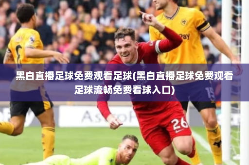 黑白直播足球免费观看足球(黑白直播足球免费观看足球流畅免费看球入口)