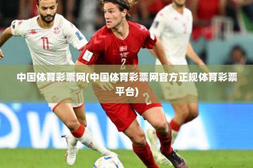 中国体育彩票网(中国体育彩票网官方正规体育彩票平台)
