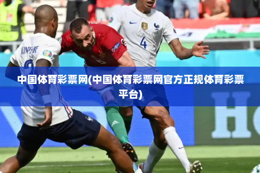 中国体育彩票网(中国体育彩票网官方正规体育彩票平台)