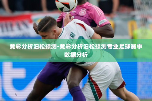竞彩分析泊松预测-竞彩分析泊松预测专业足球赛事数据分析