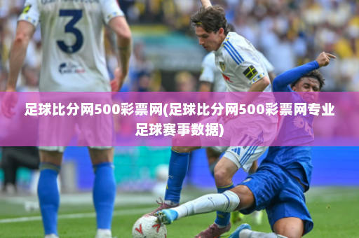 足球比分网500彩票网(足球比分网500彩票网专业足球赛事数据)