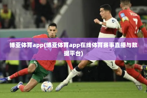 博亚体育app(博亚体育app在线体育赛事直播与数据平台)