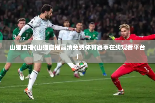 山猫直播(山猫直播高清免费体育赛事在线观看平台)