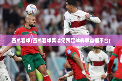 西瓜看球(西瓜看球高清免费足球赛事直播平台)