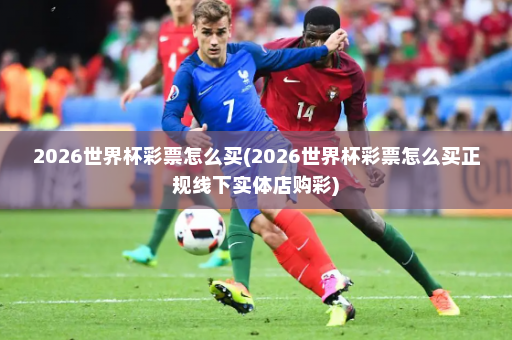 2026世界杯彩票怎么买(2026世界杯彩票怎么买正规线下实体店购彩)