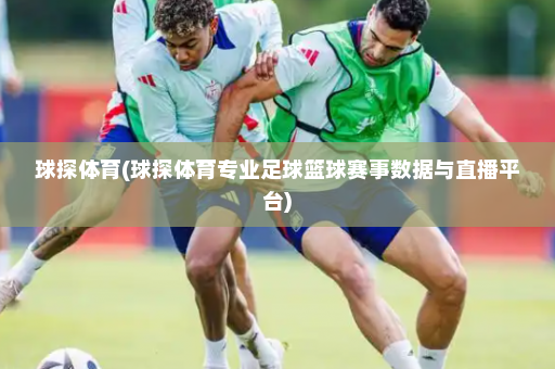 球探体育(球探体育专业足球篮球赛事数据与直播平台)
