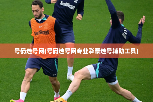 号码选号网(号码选号网专业彩票选号辅助工具)