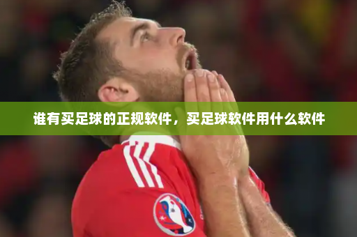 谁有买足球的正规软件,买足球软件用什么软件