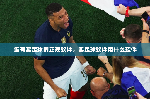 谁有买足球的正规软件,买足球软件用什么软件