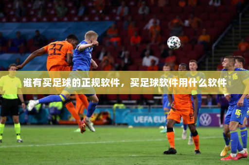 谁有买足球的正规软件,买足球软件用什么软件