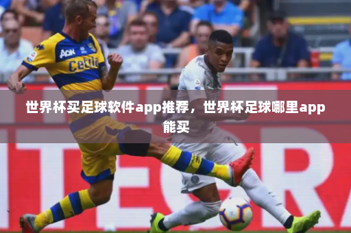 世界杯买足球软件app推荐,世界杯足球哪里app能买