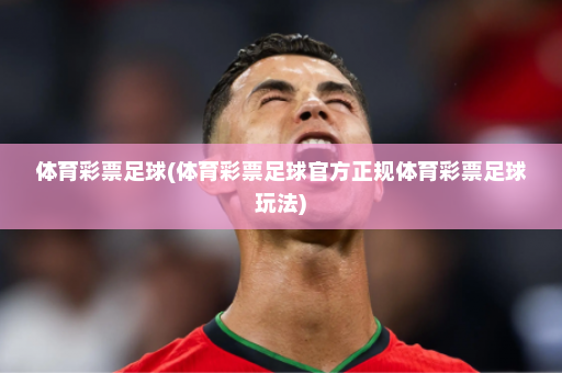 体育彩票足球(体育彩票足球官方正规体育彩票足球玩法)