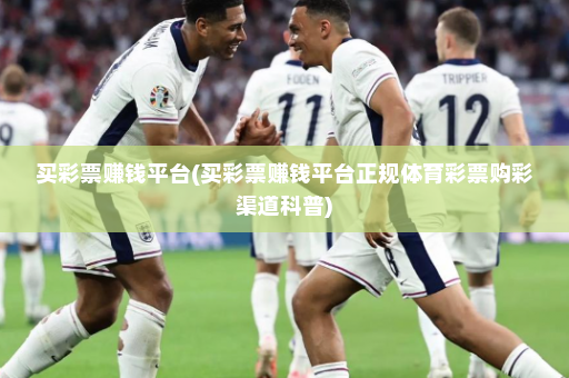 买彩票赚钱平台(买彩票赚钱平台正规体育彩票购彩渠道科普)