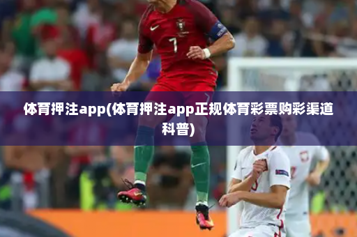 体育押注app(体育押注app正规体育彩票购彩渠道科普)