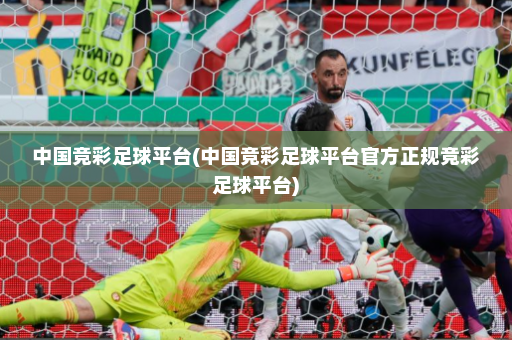 中国竞彩足球平台(中国竞彩足球平台官方正规竞彩足球平台)