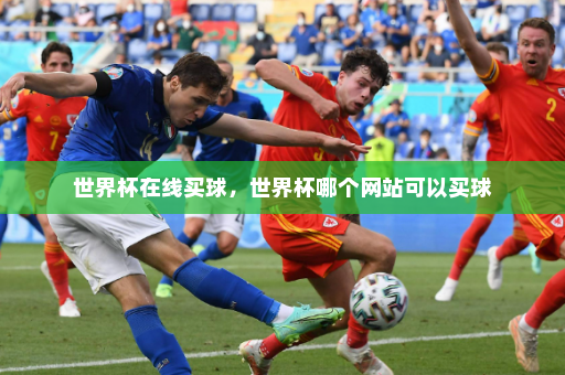 世界杯在线买球,世界杯哪个网站可以买球